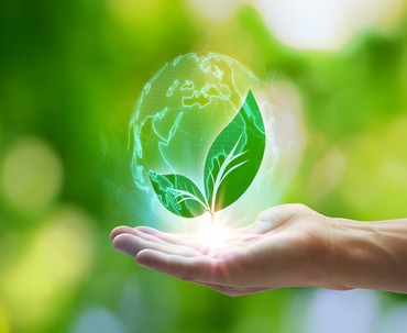 BIO DEGRADABLE FLUIDS